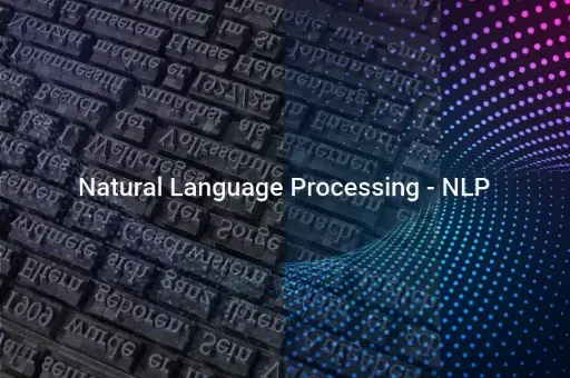 Natural Language Processing (NLP)